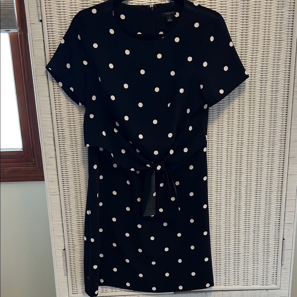 Ann Taylor Black Dress with White Dots